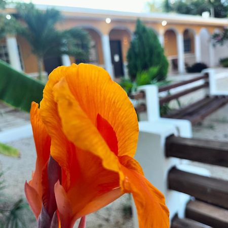Villa Gabriela Celestun Εξωτερικό φωτογραφία