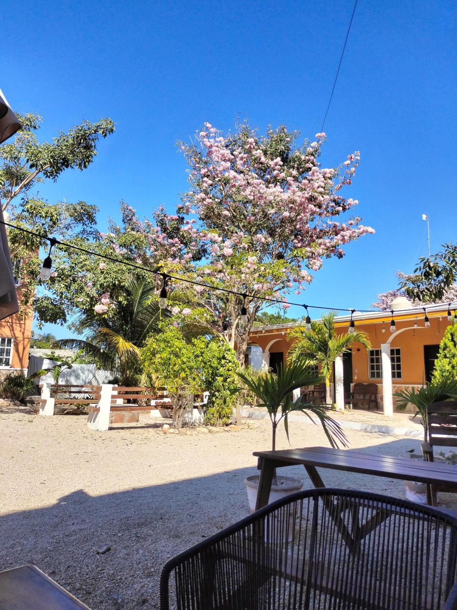 Villa Gabriela Celestun Εξωτερικό φωτογραφία